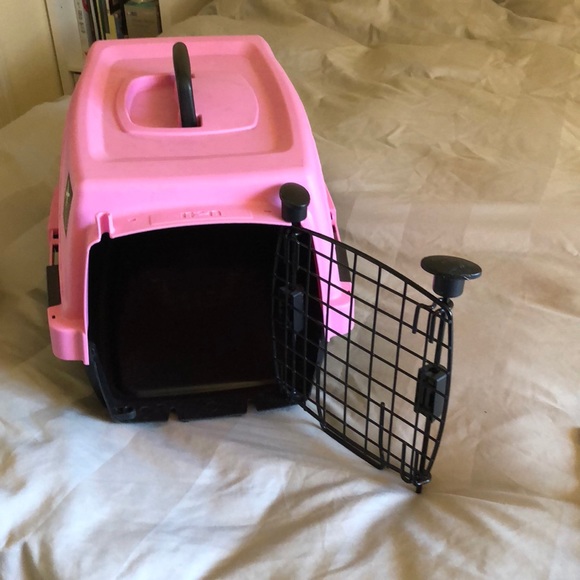 n2n pet carrier
